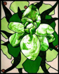 Green Rose Stained Glass by Jezebel