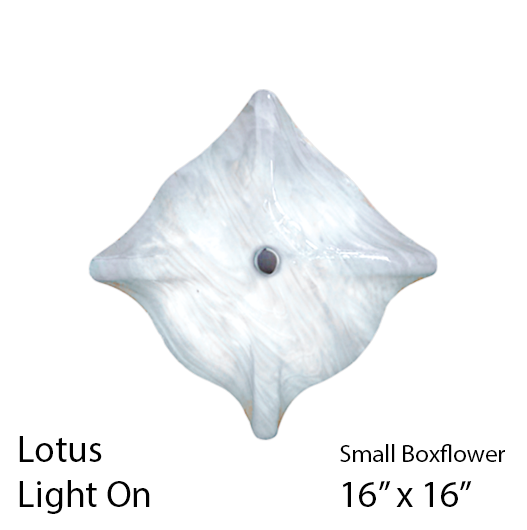 Jezebel® Boxflower Sconce, Small