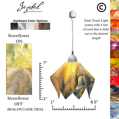 Jezebel Signature® Track Lighting Flame Pendant, Small