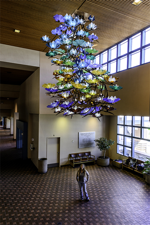Illumination Tree by Jezebel at the Albuquerque Sunport